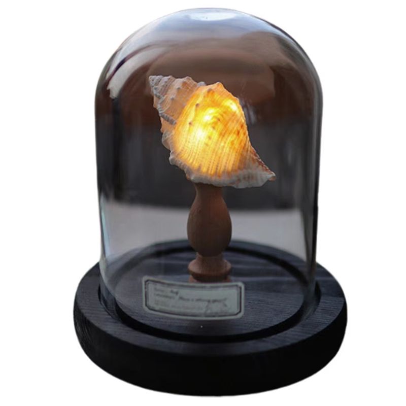 Lighting Decoration Ideas For Home - Exquisita Lámpara LED Mini para Decoración