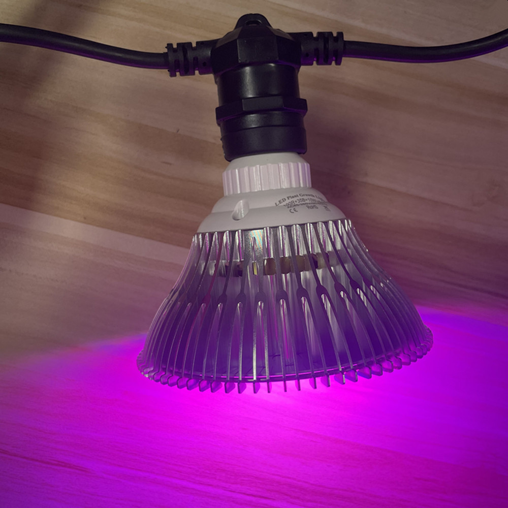 Cadena de luces LED de 10M, re - Lighting Decoration For Wedding reseña y precio